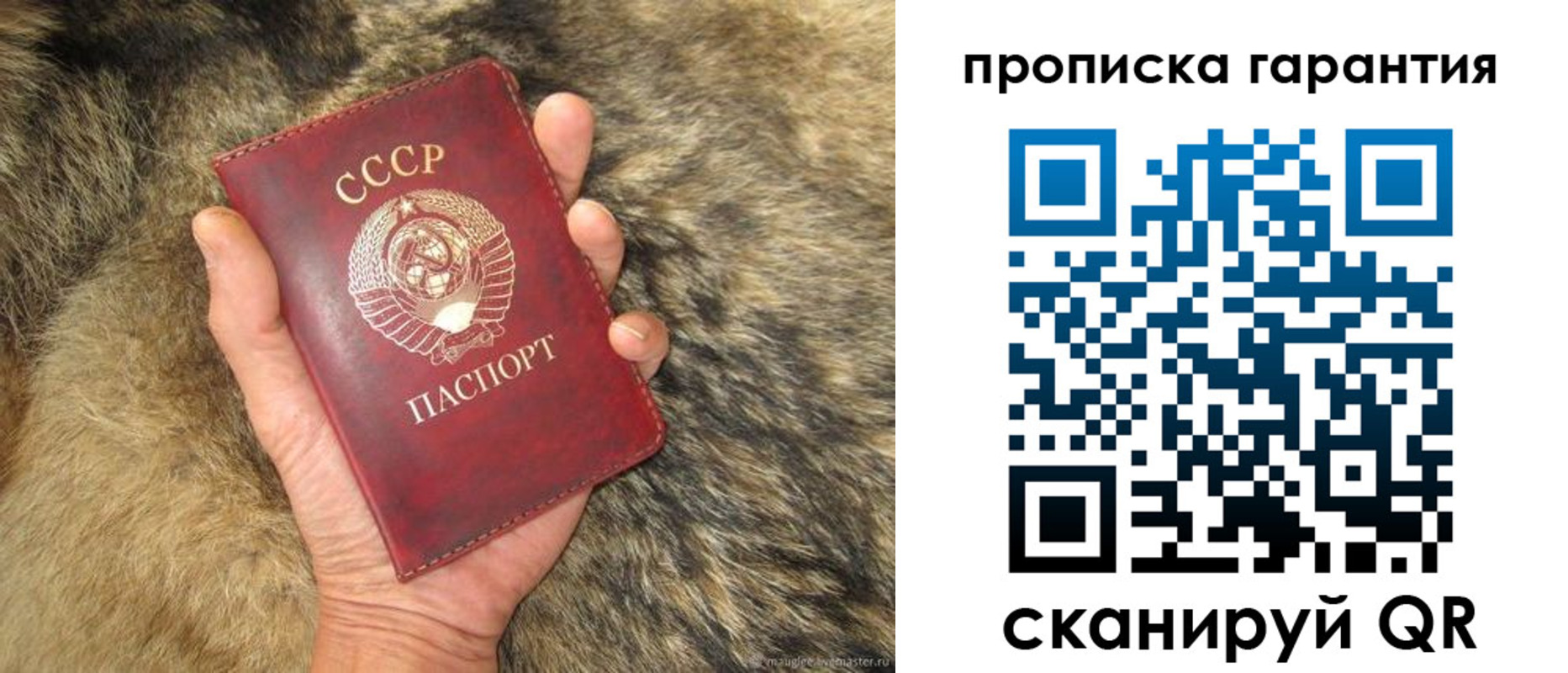 прописка паспорт в Рубцовске